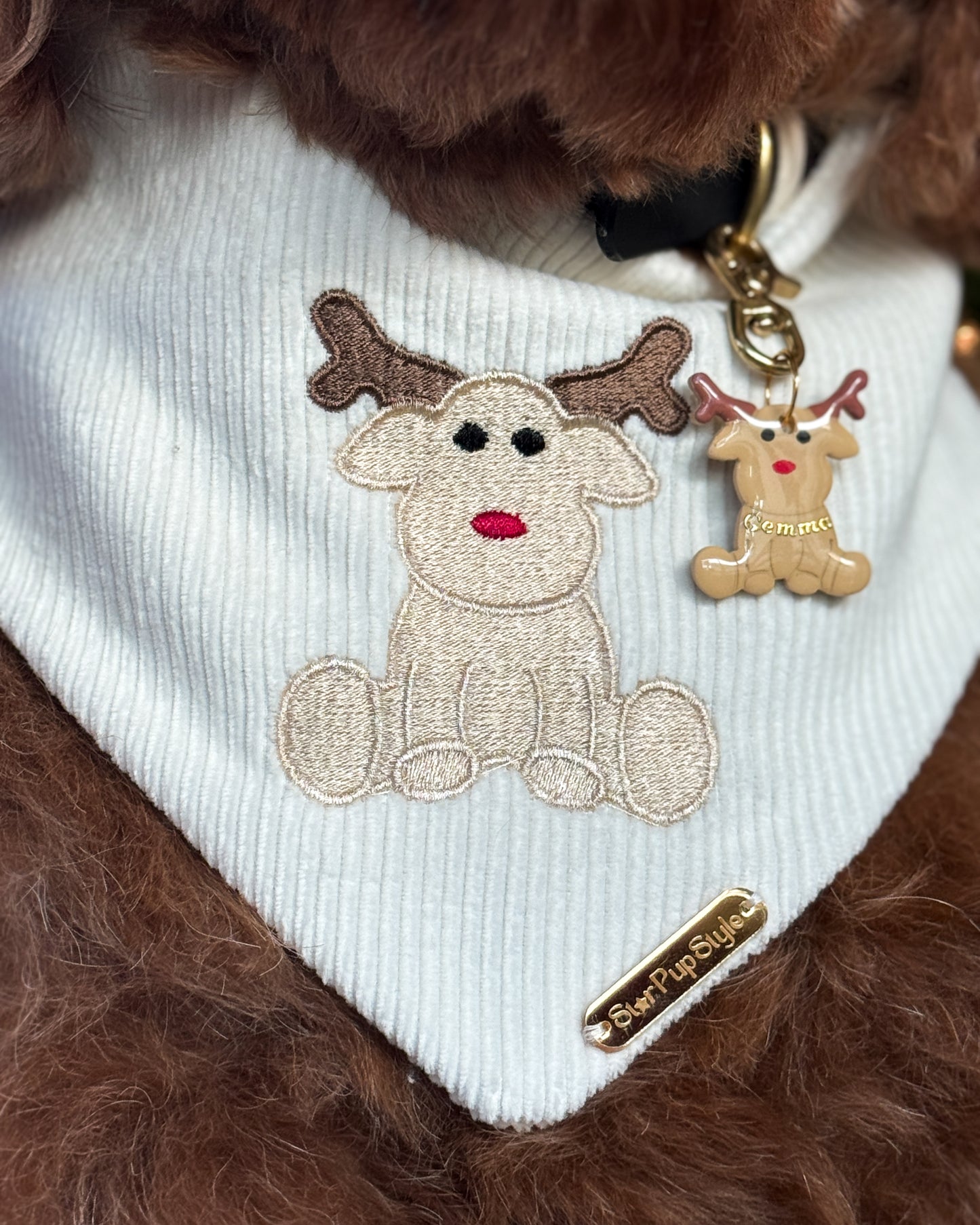 Blitzen Pet ID Tag