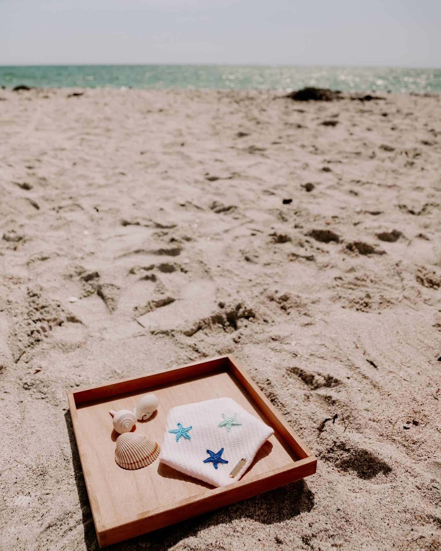 Starfish Coast