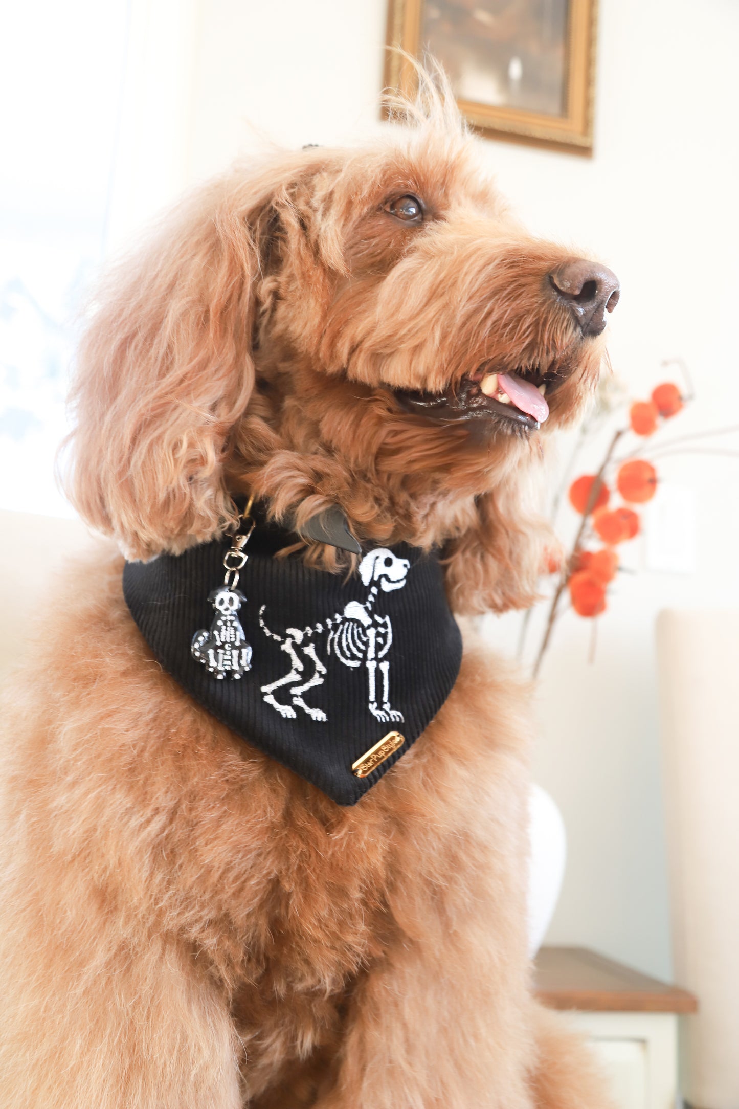 Bona Fido Bandana