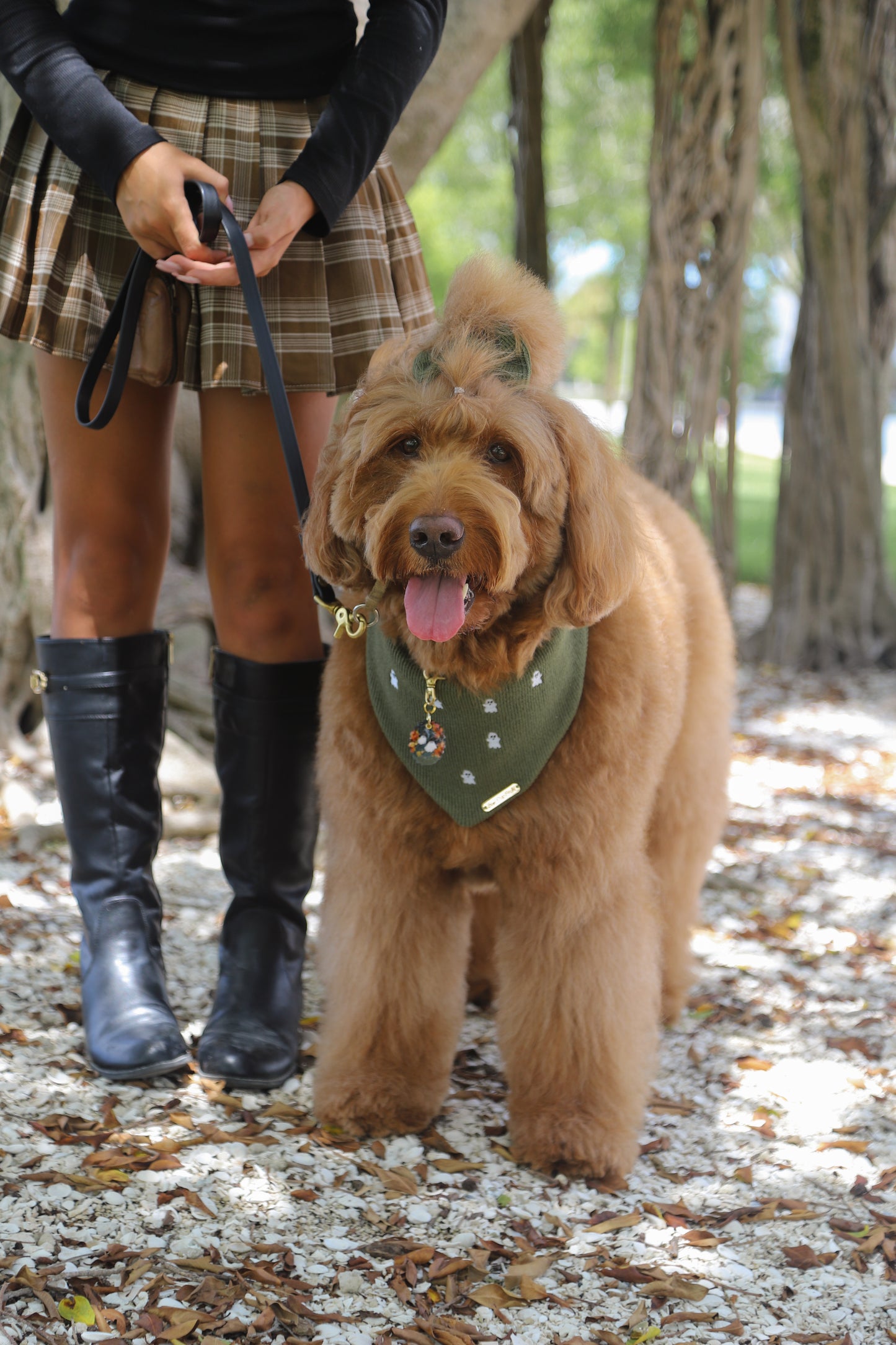 Boo Dog Bow