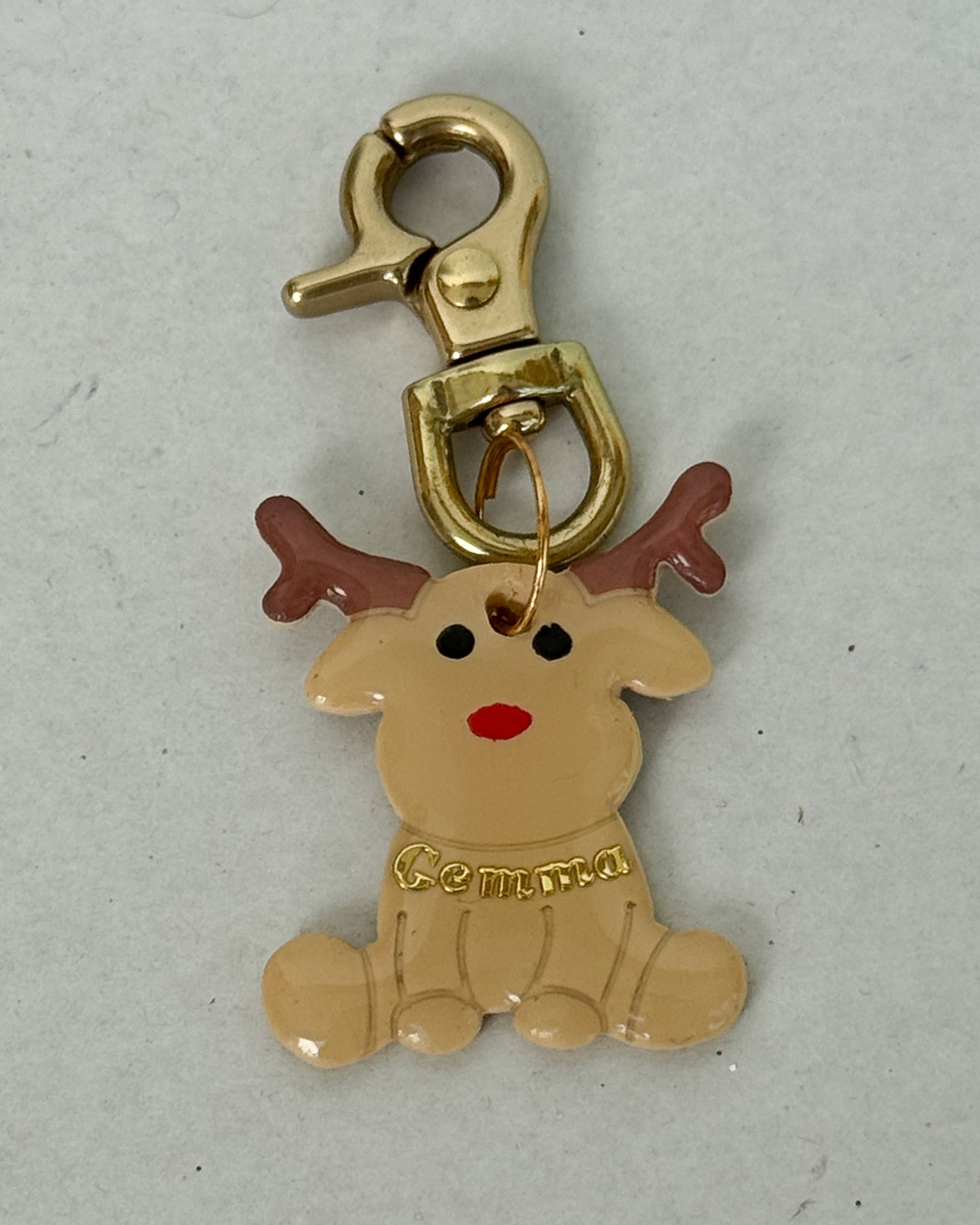 Blitzen Pet ID Tag