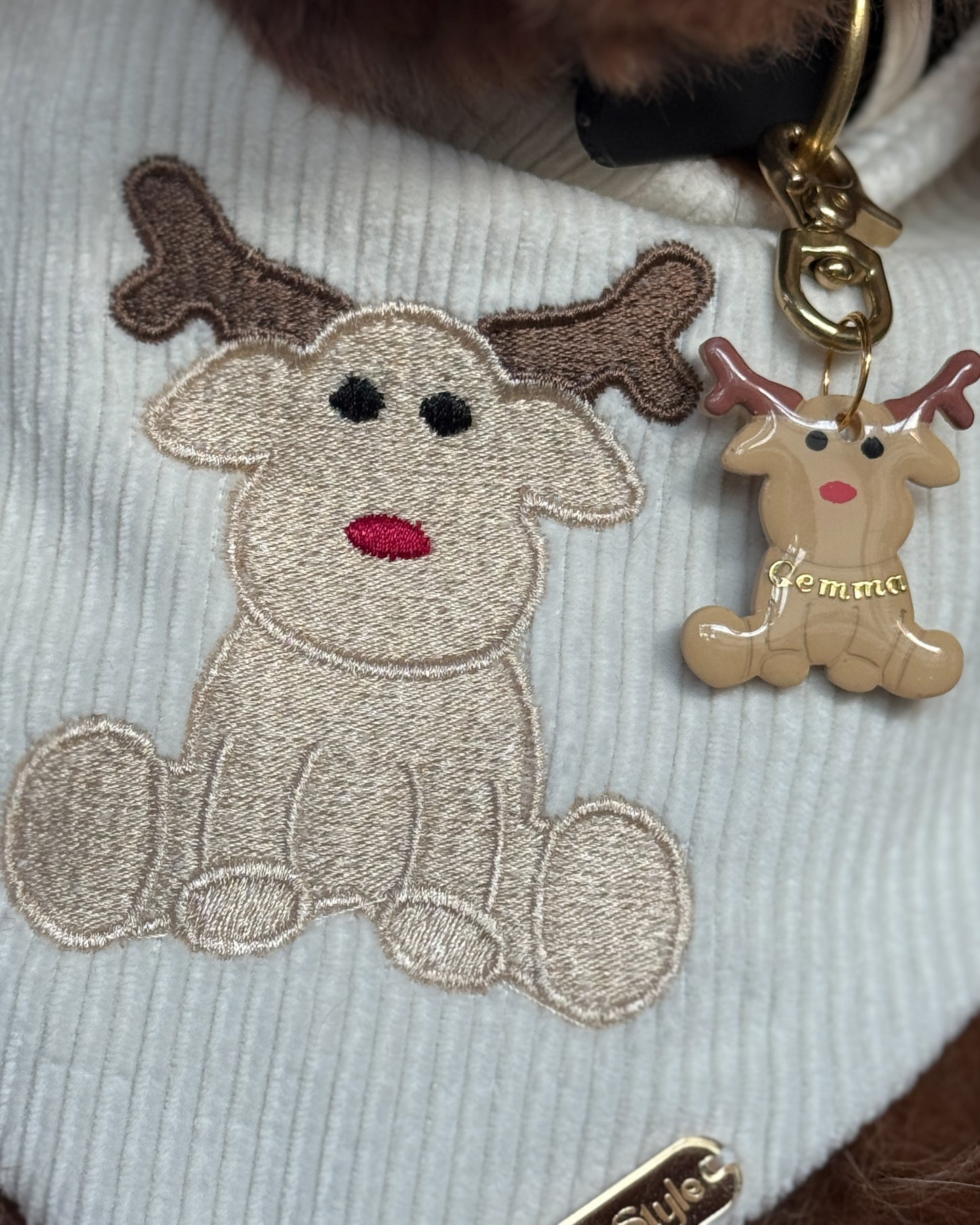 Blitzen Pet ID Tag