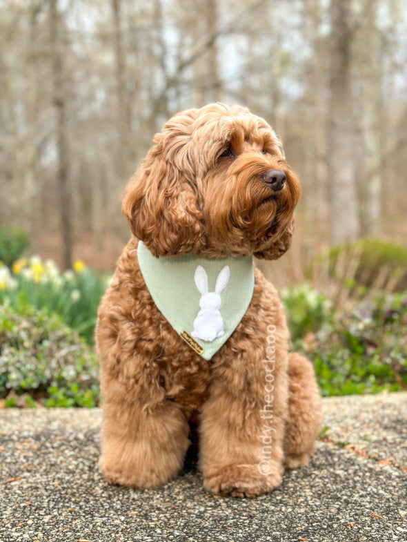 Cotton Tail Dog Bandana