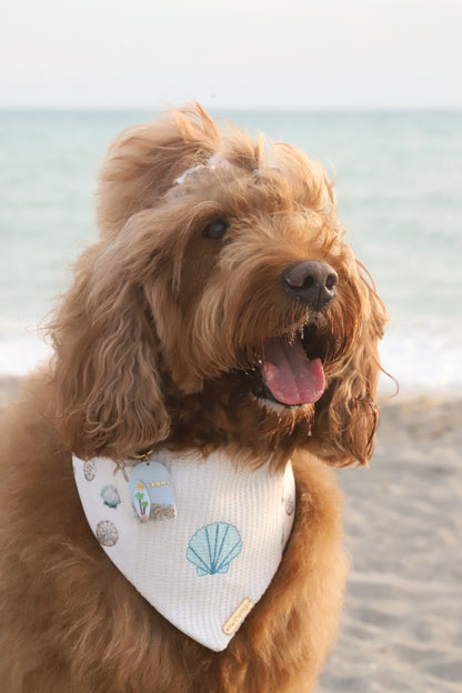 Coastal Lace Dog Bandana