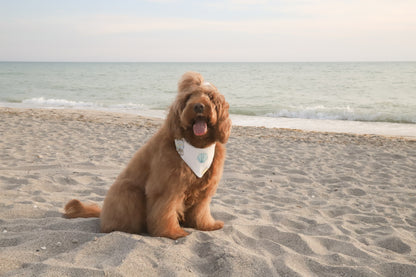 Coastal Lace Dog Bandana