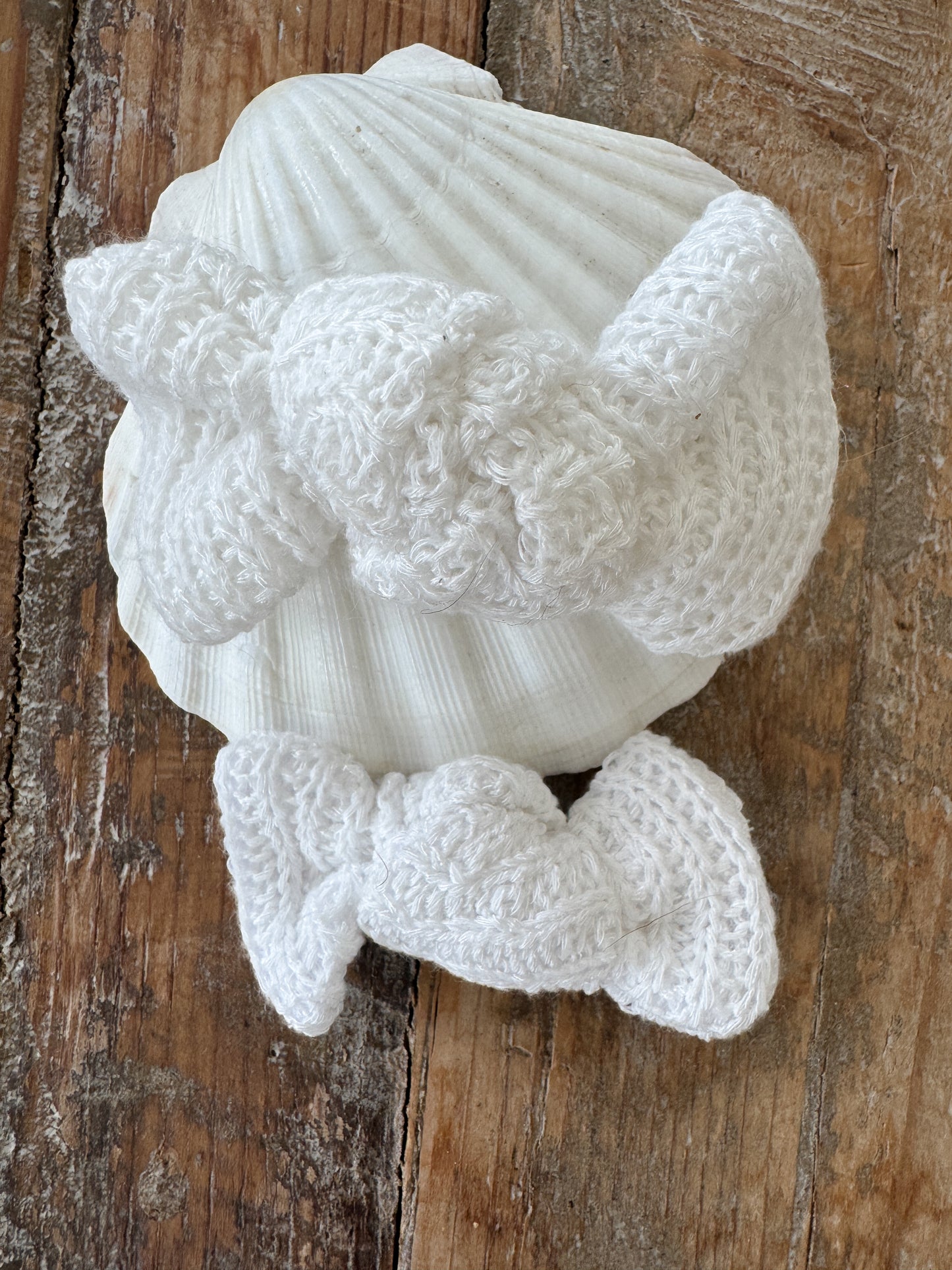 Coastal Lace Bow