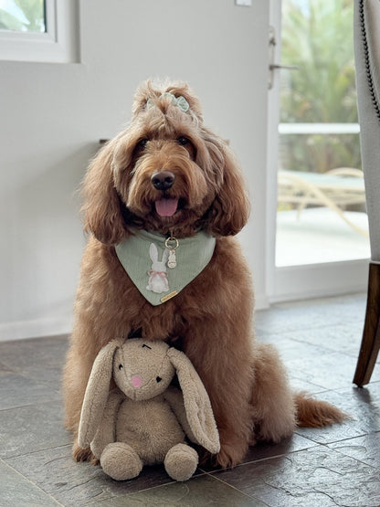Cotton Tail Dog Bandana