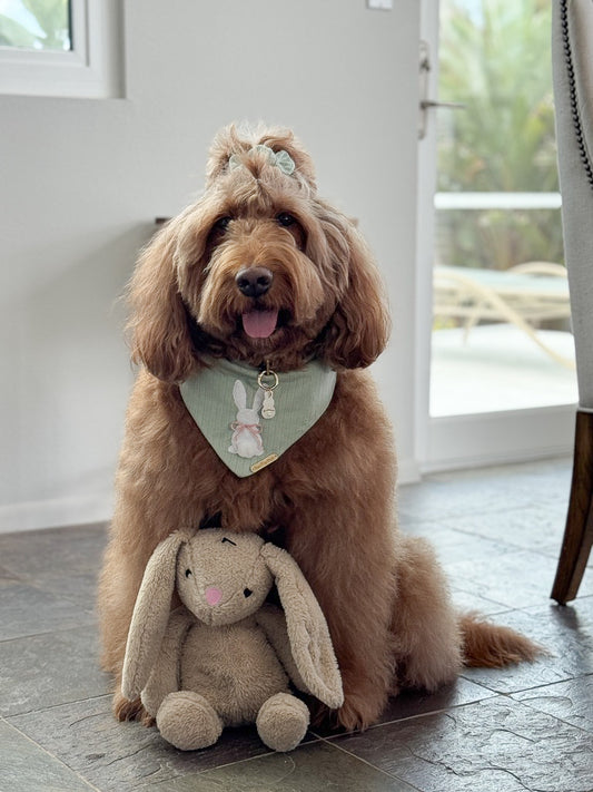 Cotton Tail Dog Bandana
