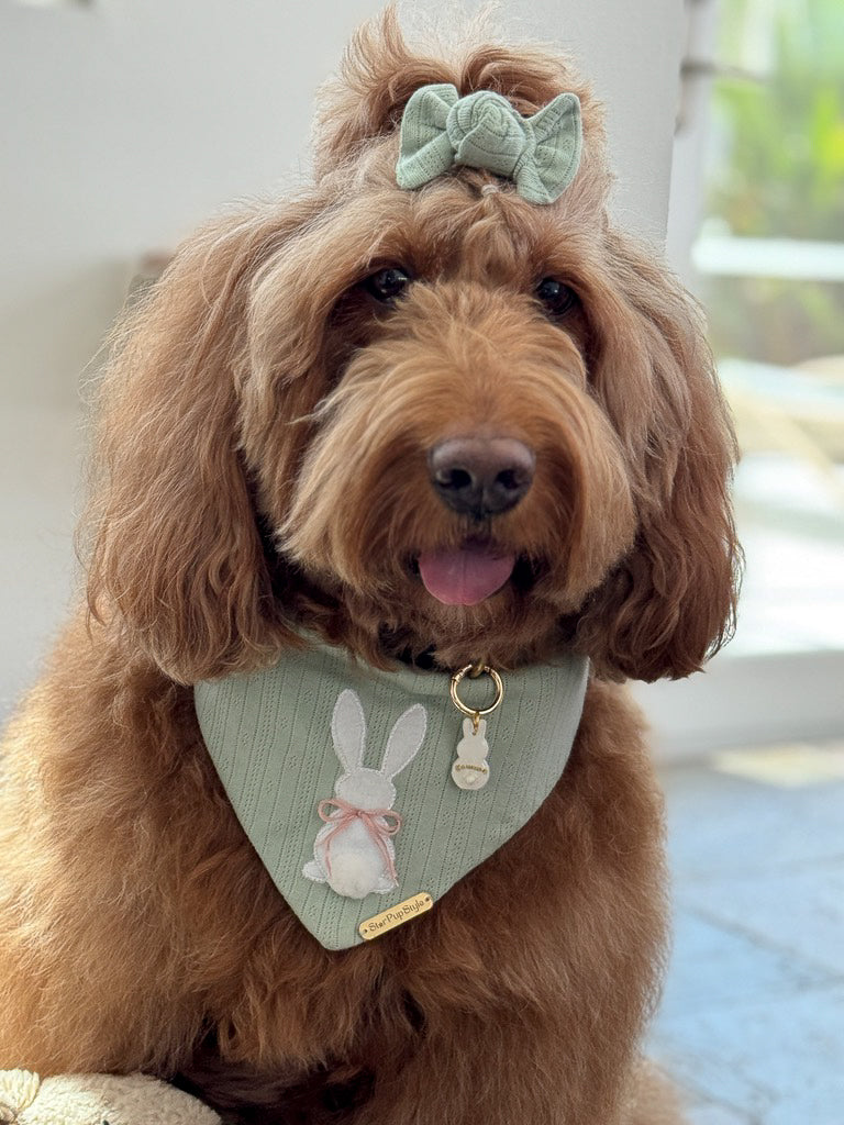 Cotton Tail Bow