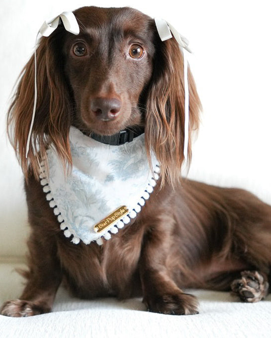 Darling Bandana