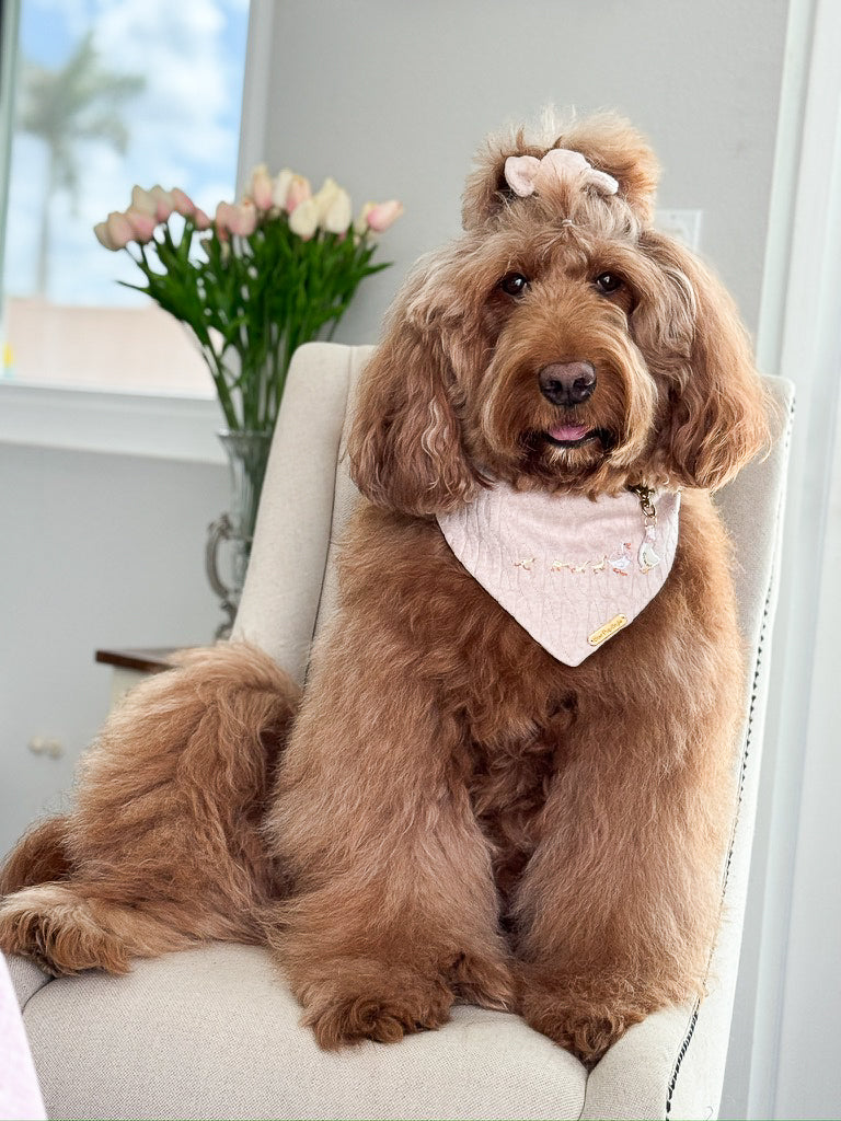 Ducks In a Row Dog Bandana