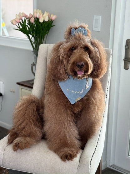 Ducks In a Row Dog Bandana