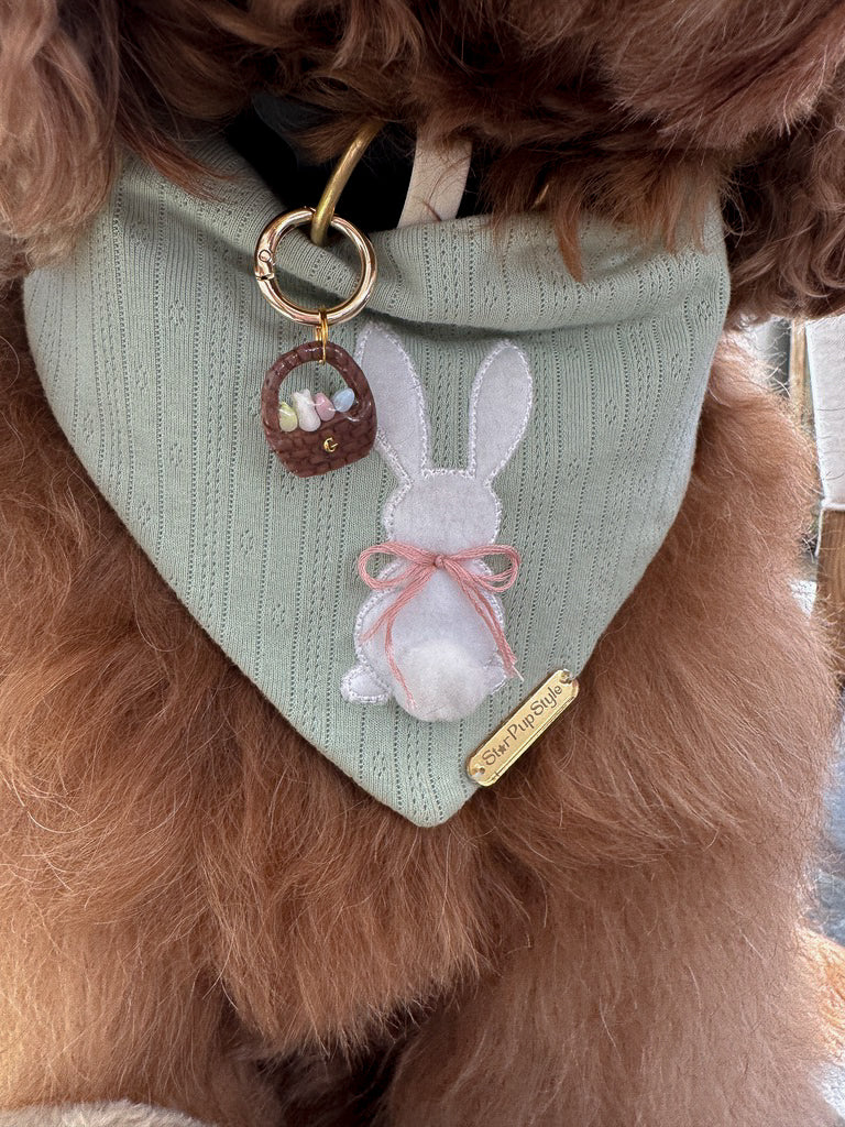 Easter Basket Pet ID Tag