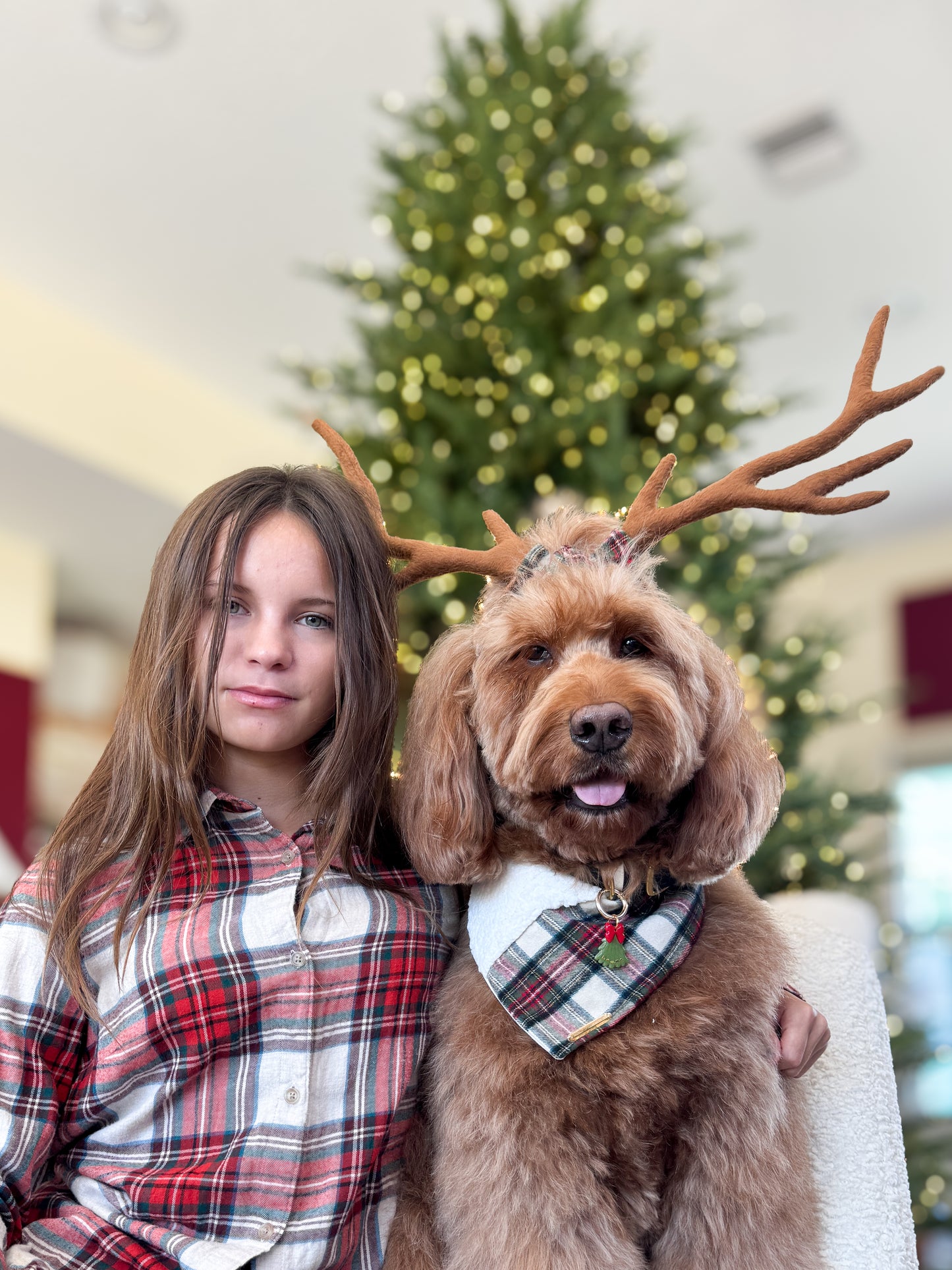 Fireside Plaid Bandana