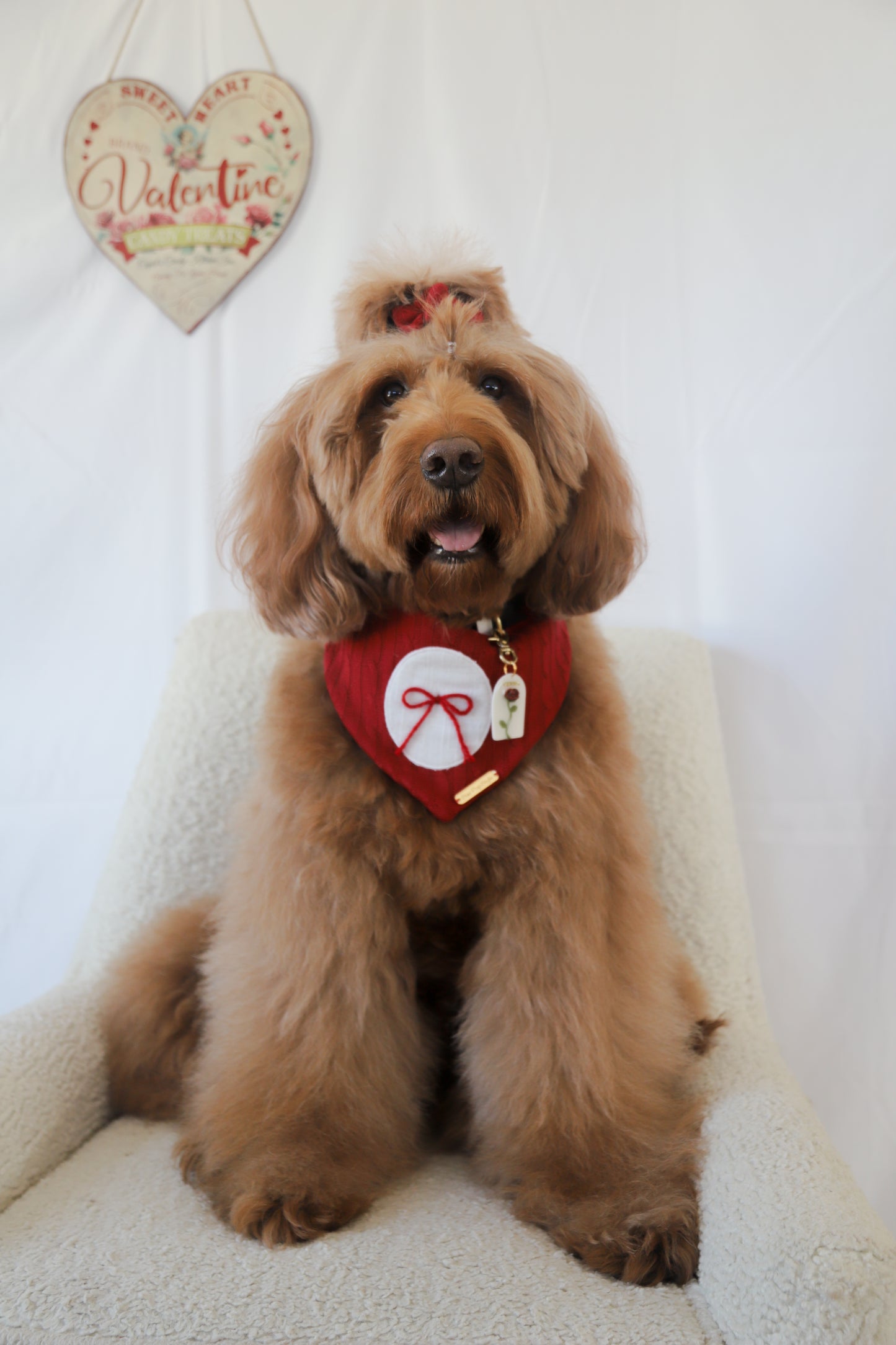 With Love Pet ID Tag