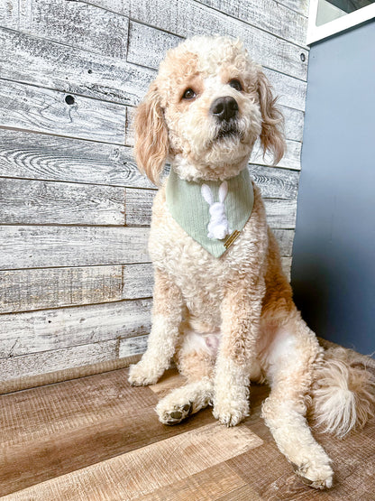Cotton Tail Dog Bandana