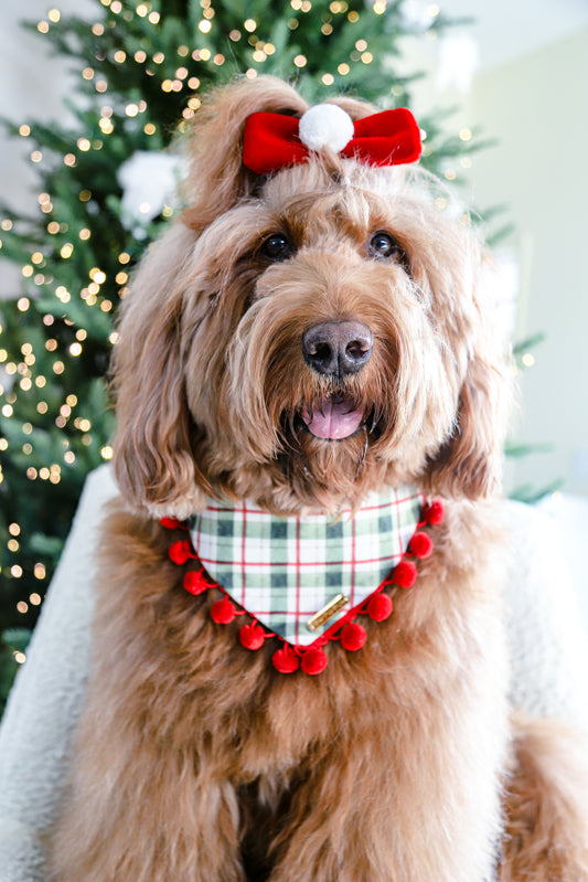 Santa’s Little Helper