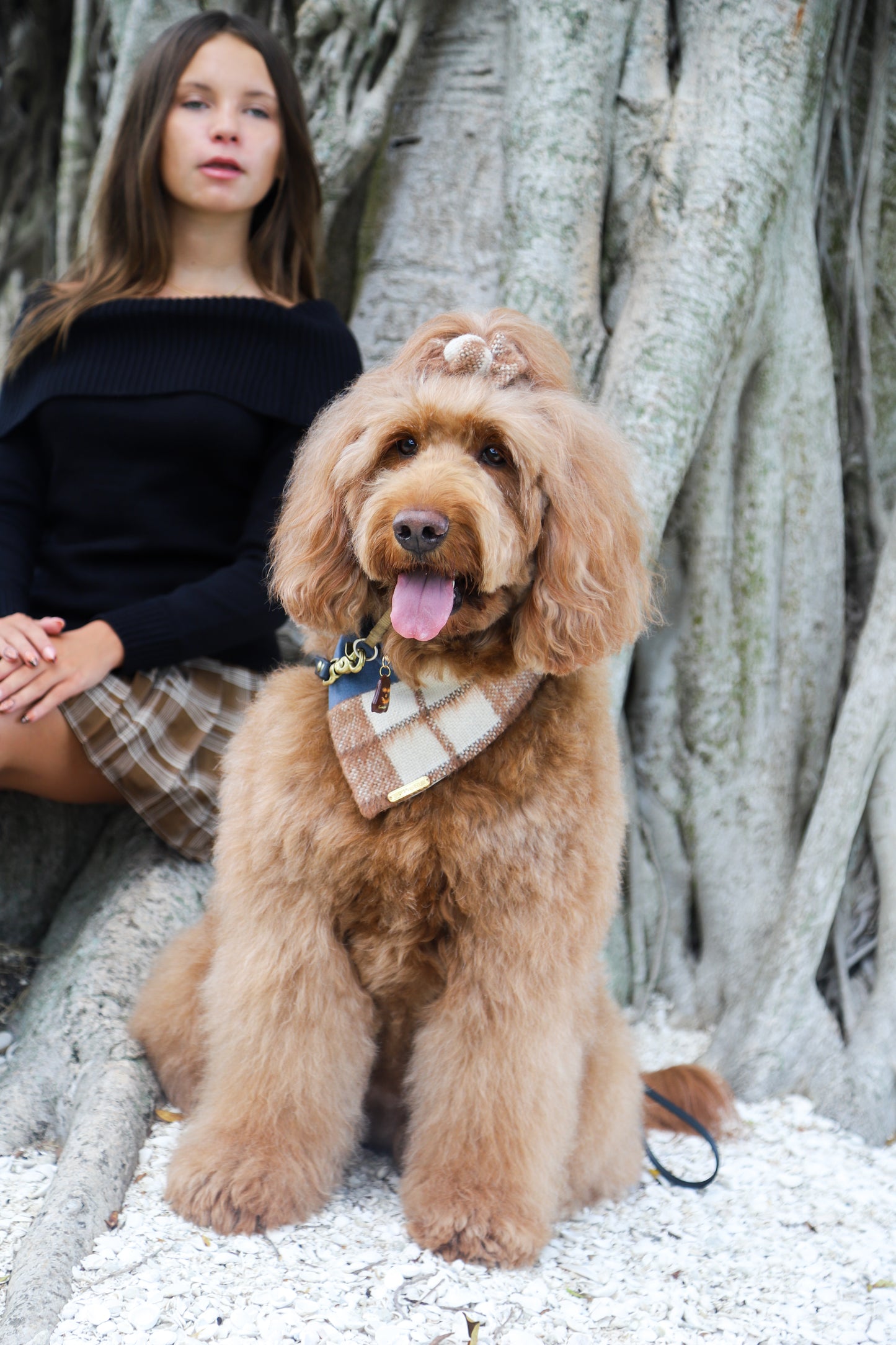 Plaid & Blue Bandana