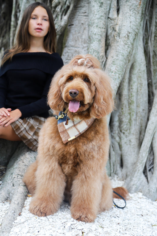 Plaid & Blue Dog Bow