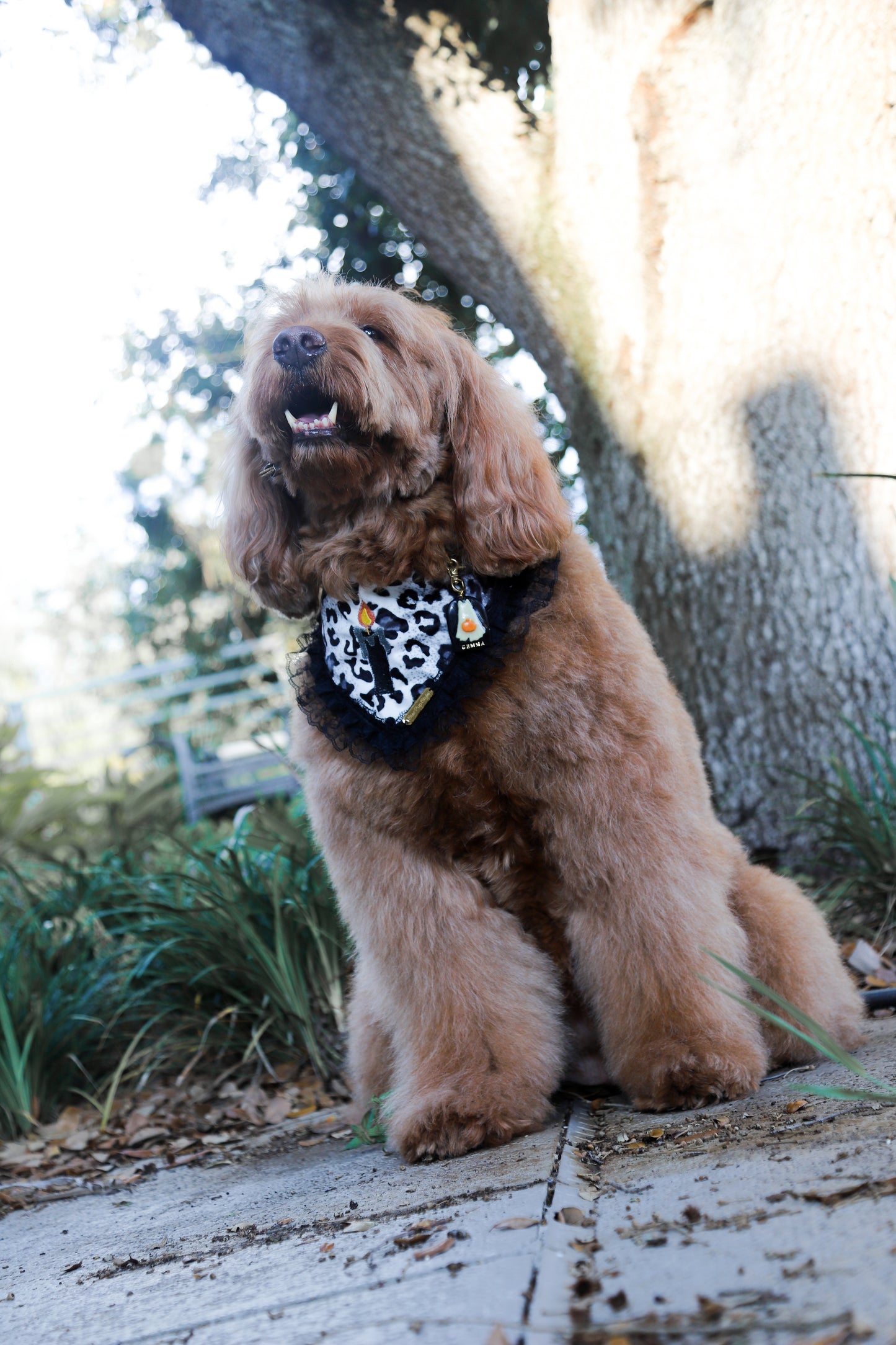 Wild Thang Bandana
