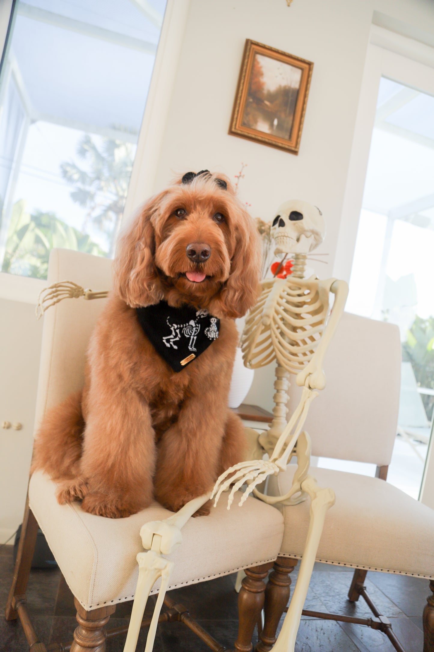 Bona Fido Bandana