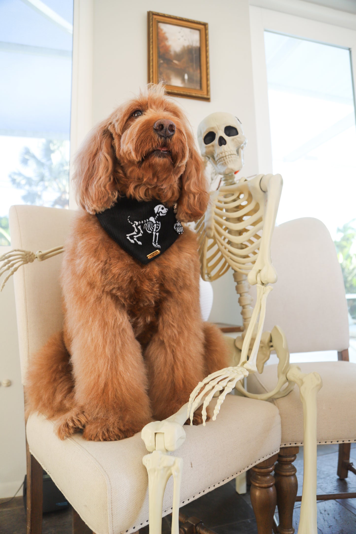 Bona Fido Bandana