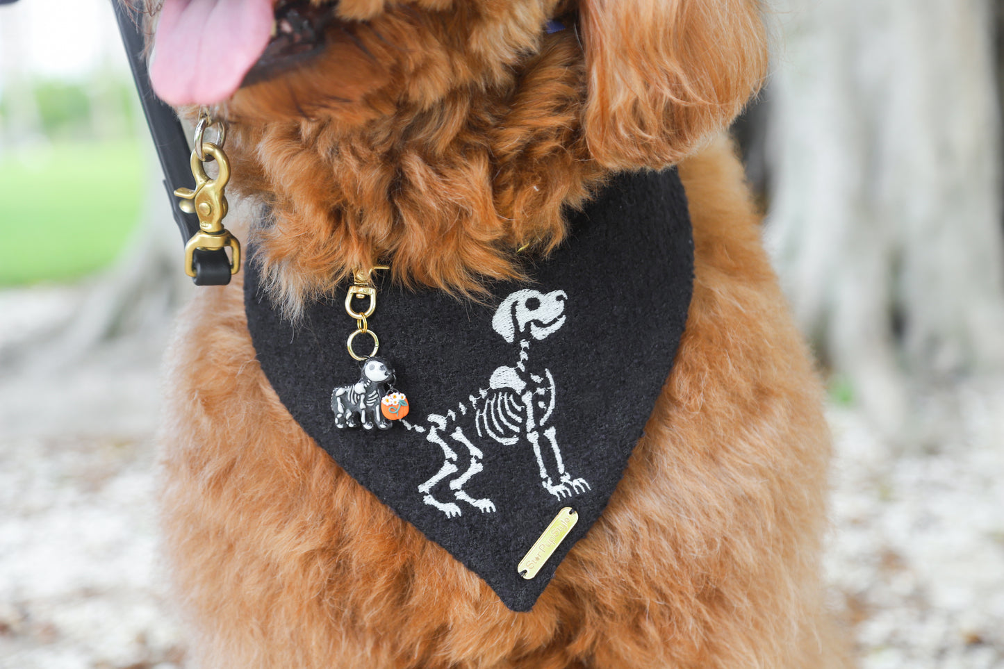 Bona Fido Dog Bandana