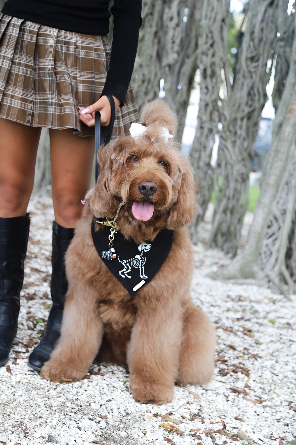 Bona Fido Dog Bandana