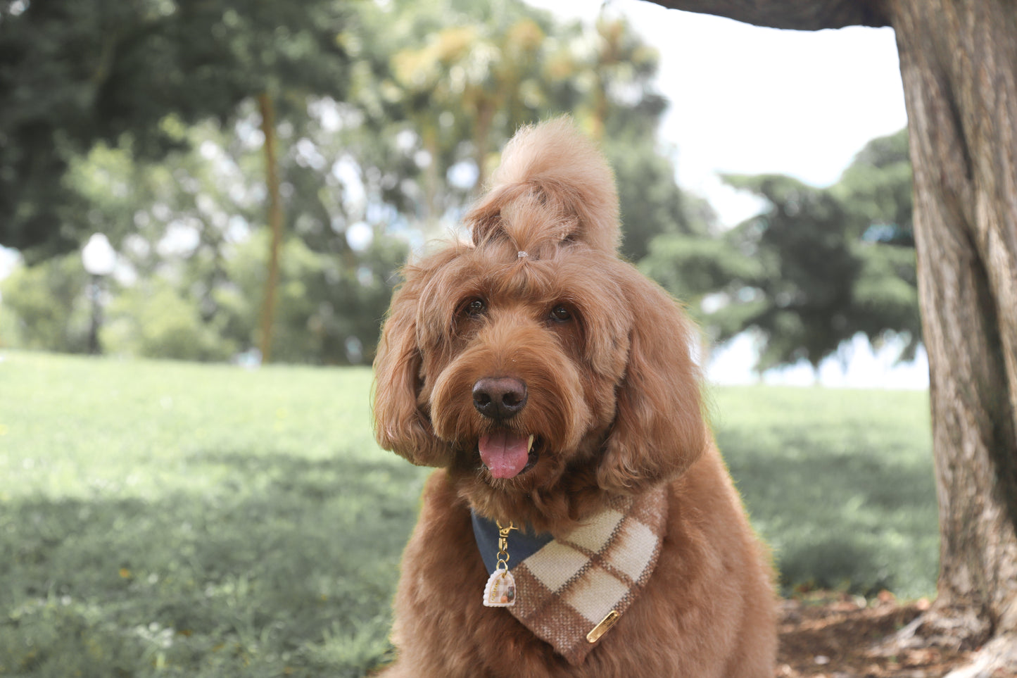 Plaid & Blue Dog Bandana