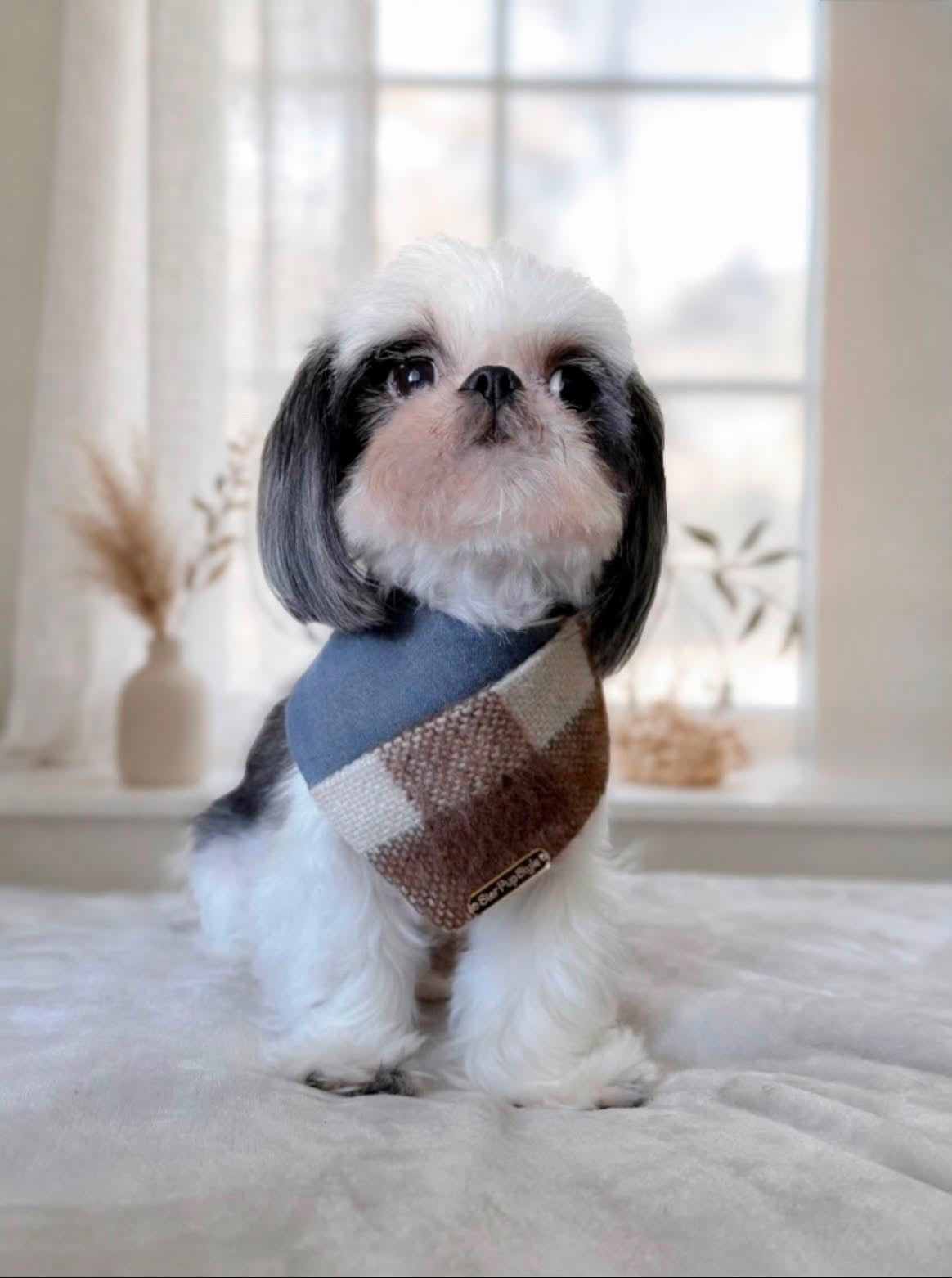 Plaid & Blue Dog Bandana
