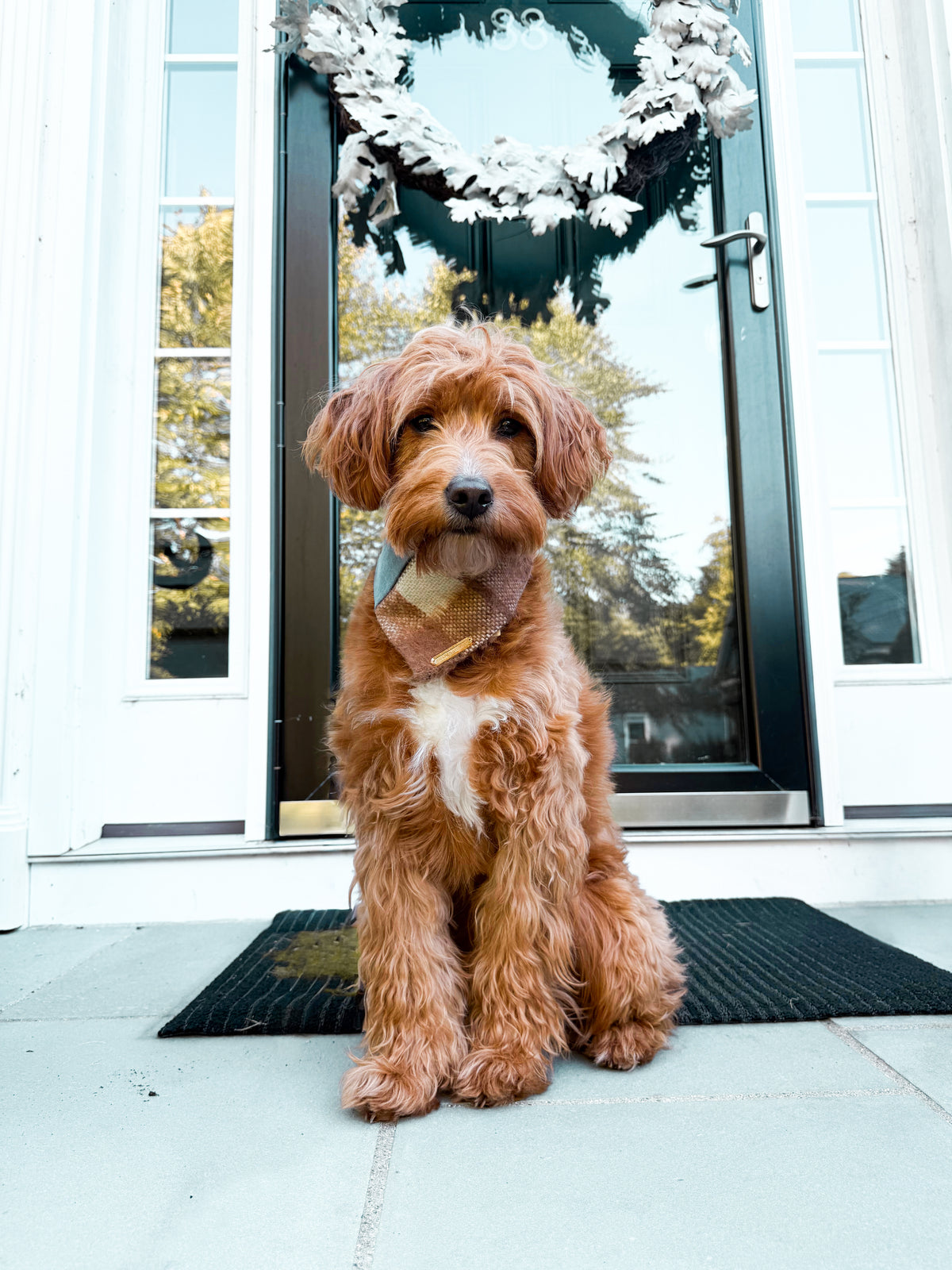 Plaid & Blue Dog Bandana