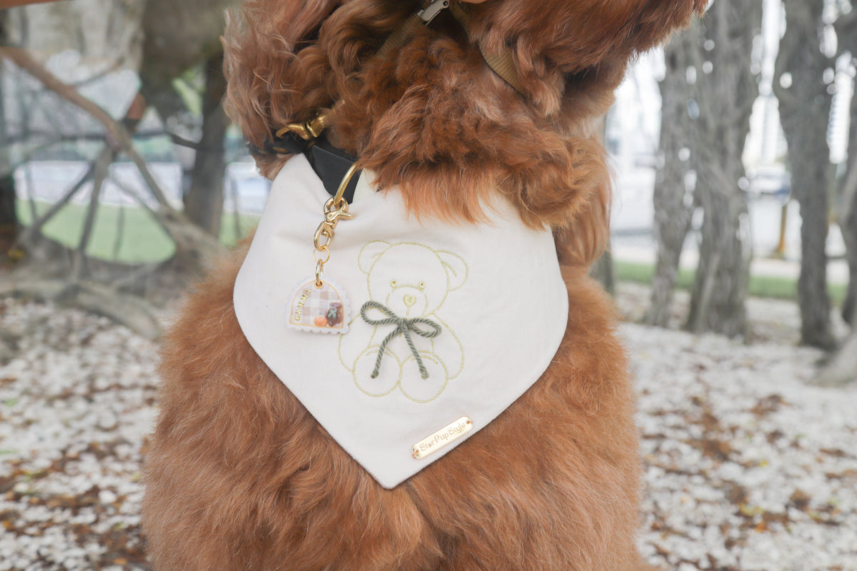 Cozy Teddy Dog Bandana