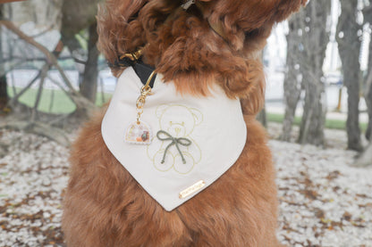 Cozy Teddy Dog Bandana