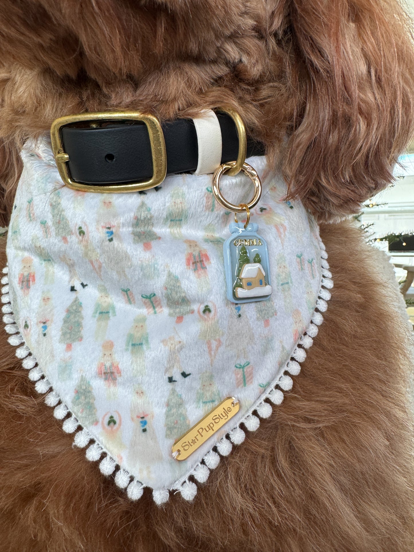 Snow Globe Pet ID Tag