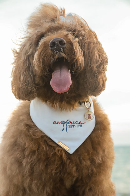 Star Coast Dog Bandana