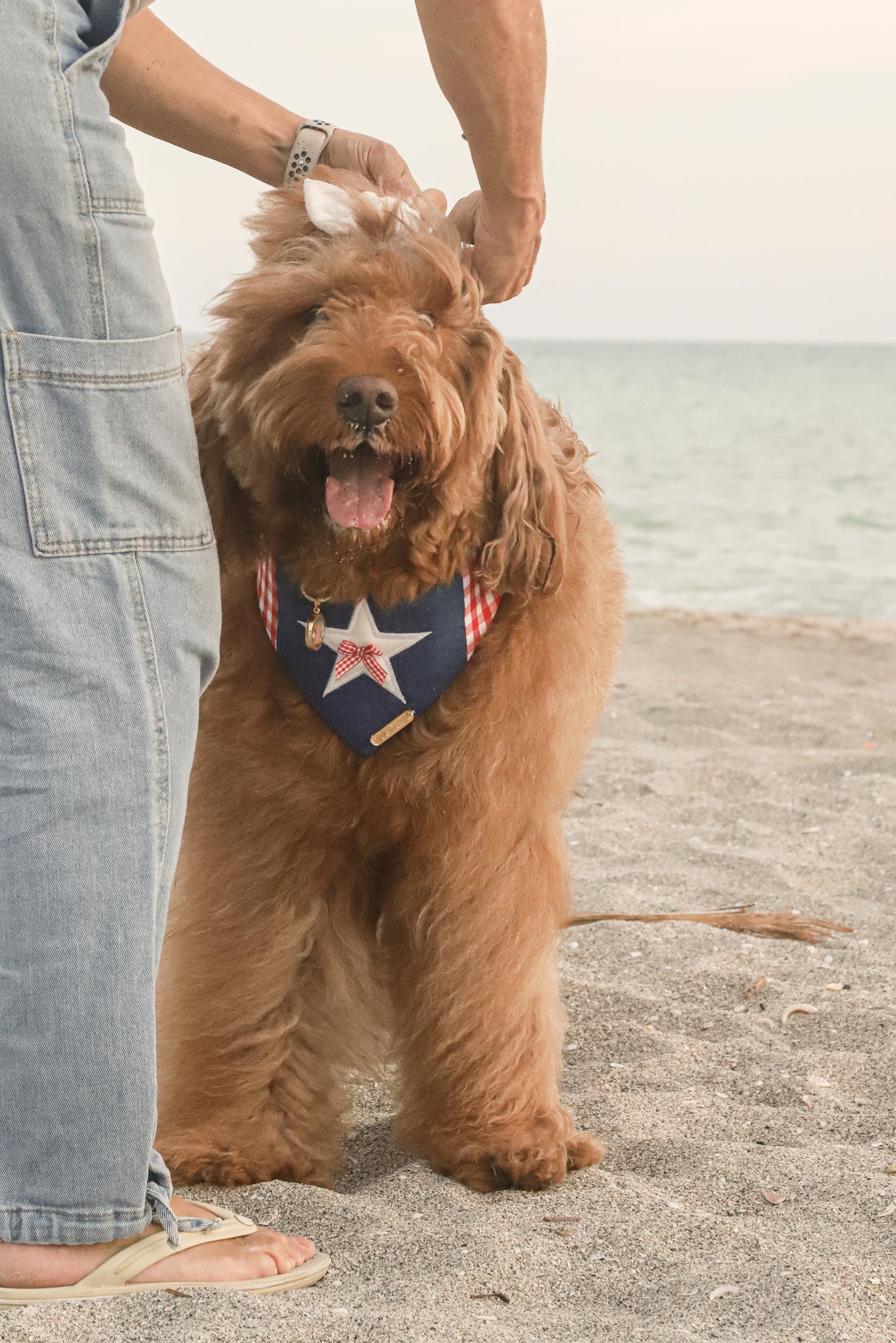 Star Coast Dog Bandana