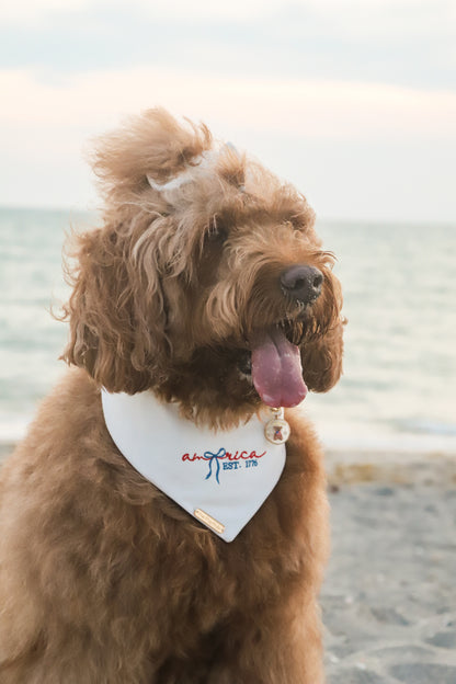 Star Coast Dog Bandana
