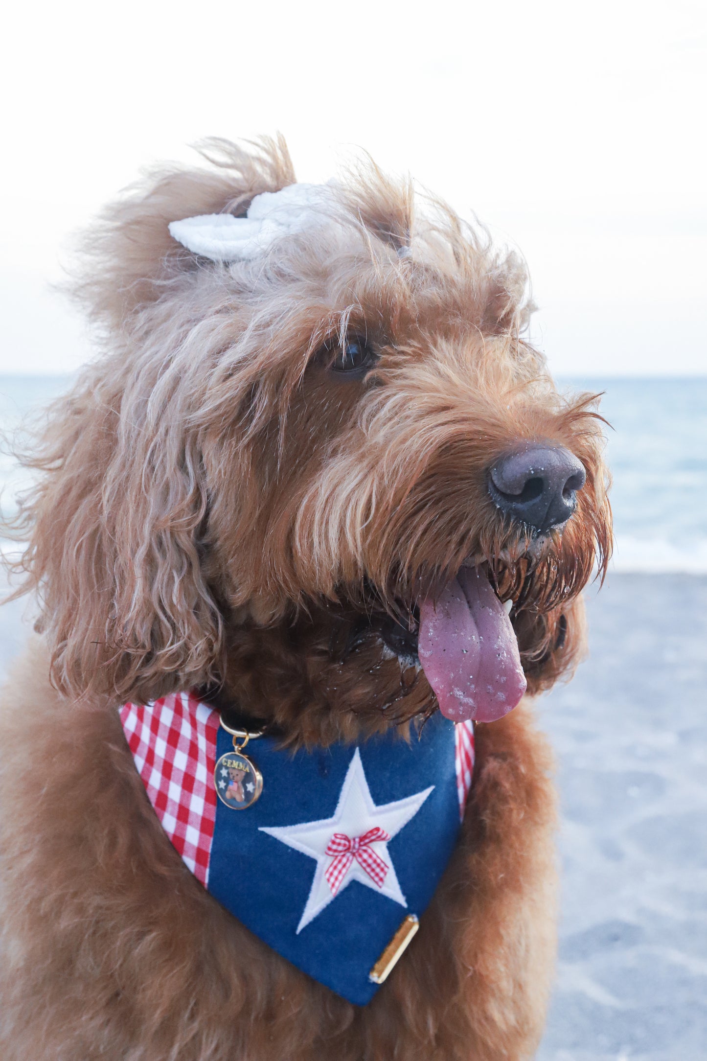 Star Coast Dog Bandana