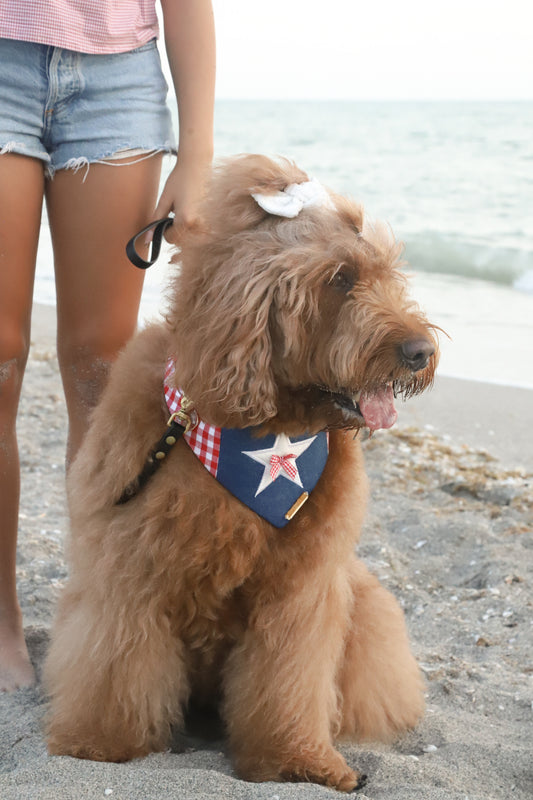 Star Coast Dog Bandana