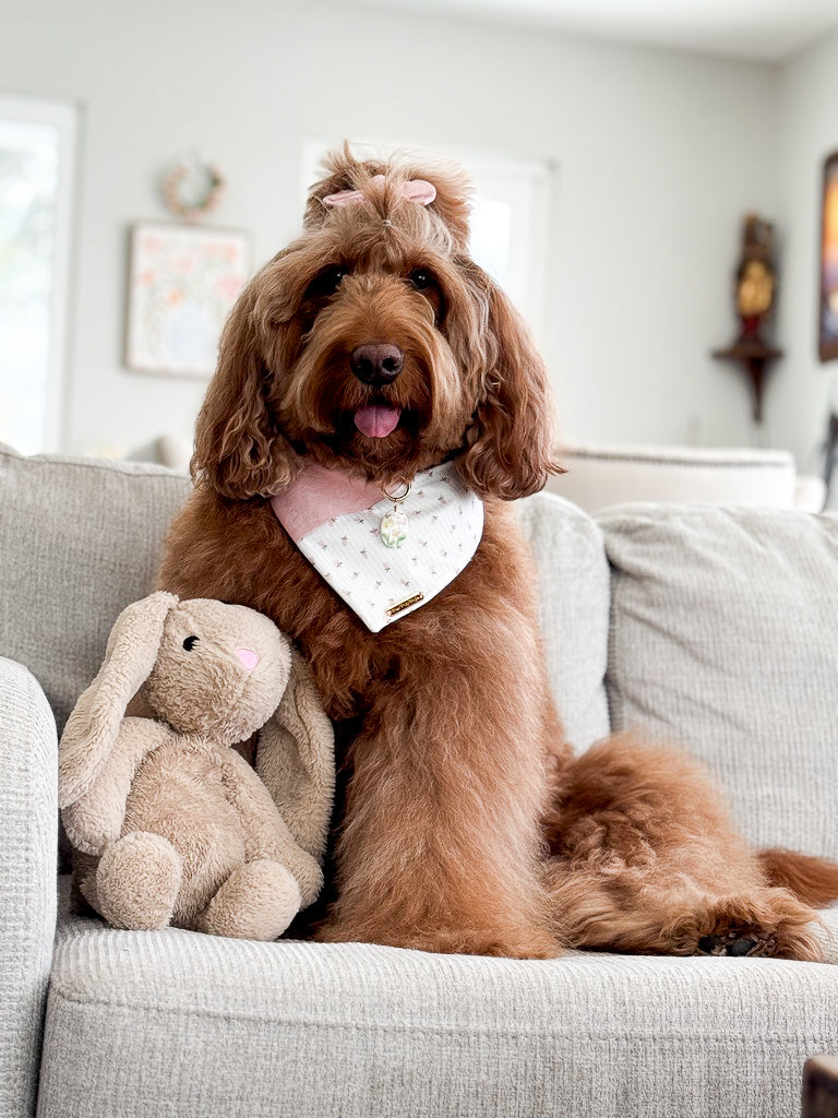 Whispering Garden Dog Bandana