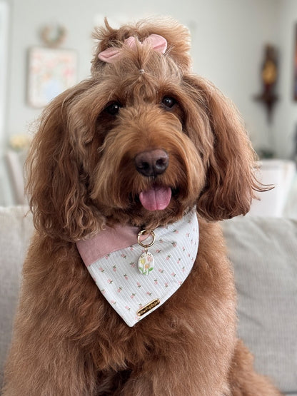 Whispering Garden Dog Bandana