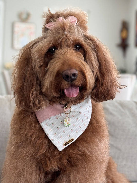 Whispering Garden Dog Bandana