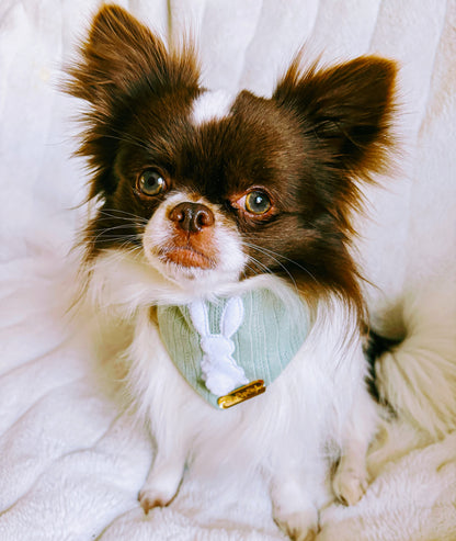 Cotton Tail Dog Bandana